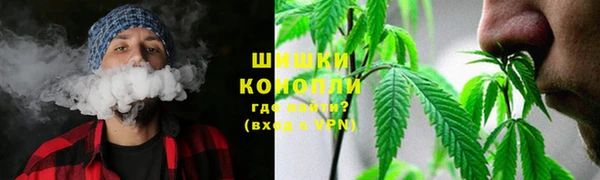 тгк Касимов
