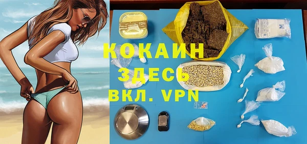 тгк Касимов