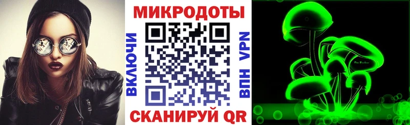 Купить где  Инза  Галлюциногенные грибы GOLDEN TEACHER 